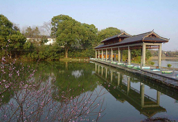 花乡茶谷旅游景区第 31 张图片