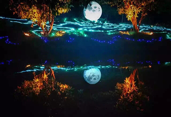 东莞龙湾之恋魔幻光影秀第 7 张图片