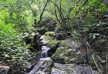 悠然山旅游度假区第 63 张图片