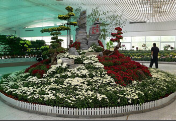 金秋菊花展第 5 张图片