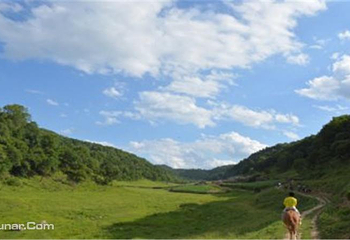 关山大唐私家牧场第 1 张图片
