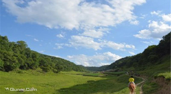 关山大唐私家牧场