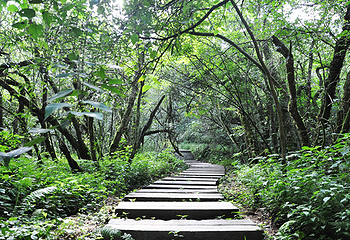 悠然山旅游度假区第 65 张图片