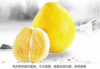琯溪蜜柚第 11 张图片