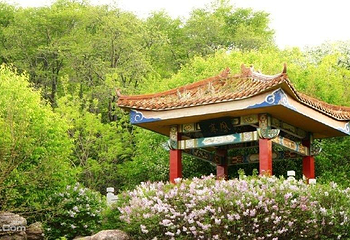 沈阳国家森林公园第 6 张图片