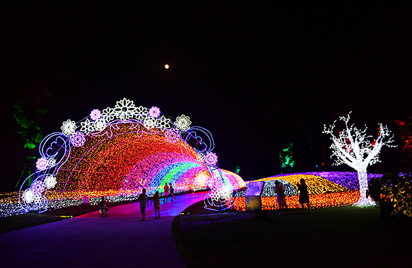 秀丽东方灯光秀成人票