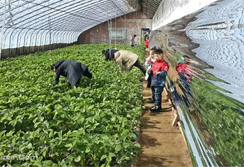 沈阳六合生态园第 3 张图片