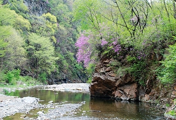 筐子沟生态风景区第 6 张图片