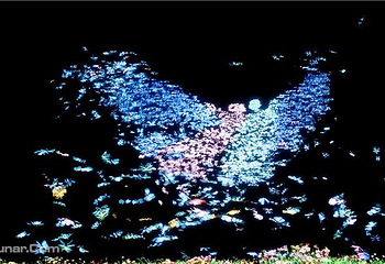 芜湖方特东方神画第 33 张图片