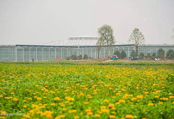 鄢陵五彩大地景区第 11 张图片