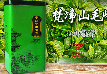 一天一叶第 5 张图片