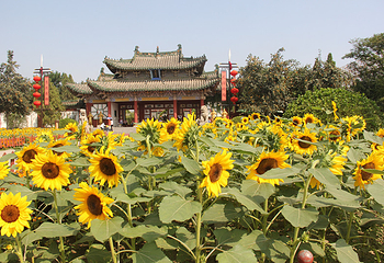 天波杨府第 78 张图片