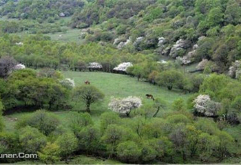 关山大唐私家牧场第 5 张图片