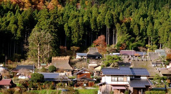 美山町北村门票 去哪儿网门票预订