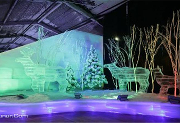 橘子洲哈尔滨冰雪嘉年华第 5 张图片