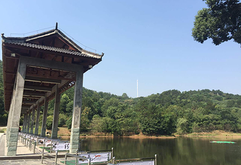 花乡茶谷旅游景区第 33 张图片