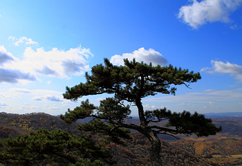 城子山风景区第 2 张图片