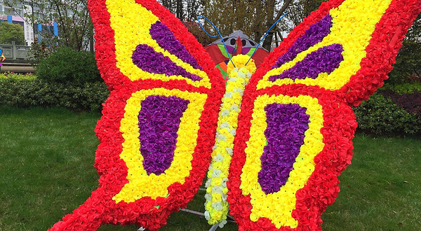 抚州东乡花果山花海文化节