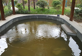 金雨玫瑰温泉度假区第 3 张图片