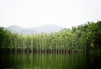 宋隆小镇•花世界旅游度假岛第 27 张图片