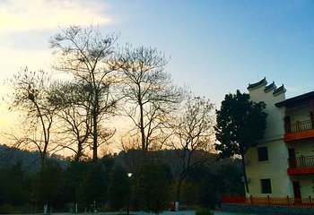 花乡茶谷旅游景区第 44 张图片