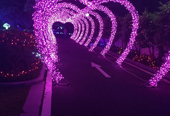 福湾财贸灯光节第 1 张图片