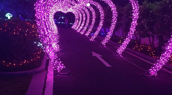 福湾财贸灯光节