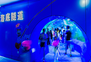 重庆欢乐海底世界第 28 张图片