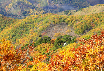 城子山风景区第 7 张图片