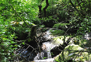 悠然山旅游度假区第 30 张图片