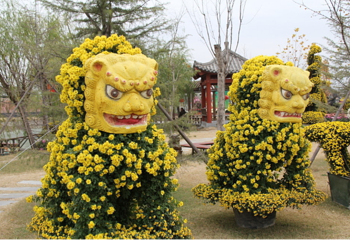 金秋菊花展第 3 张图片