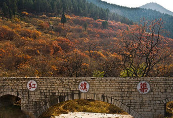 官护山第 5 张图片
