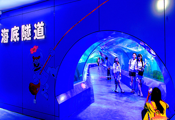 重庆欢乐海底世界第 26 张图片
