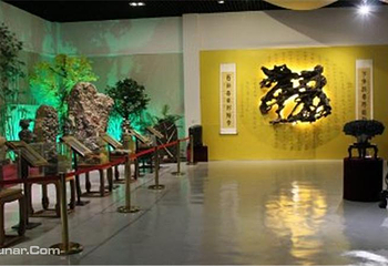 抚仙湖奇石博物馆第 4 张图片