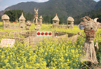东莞百香岛生态农业旅游区第 5 张图片