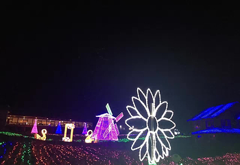 梁子湖蓝波湾庄园第 13 张图片