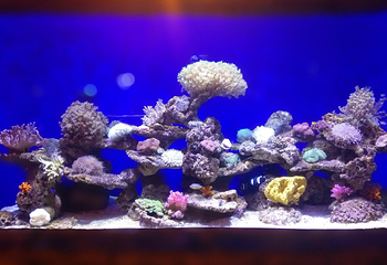 北海海底世界第 9 张图片