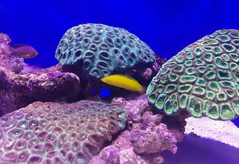 北海海底世界第 12 张图片