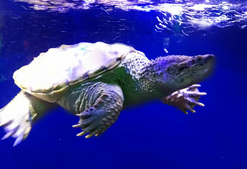 北海海底世界第 3 张图片