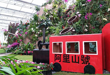 南京农业嘉年华第 4 张图片