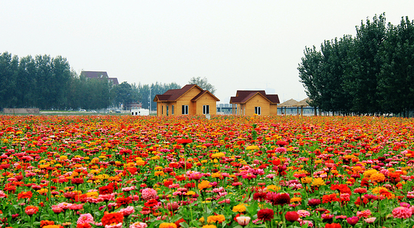 北运河休闲旅游驿站