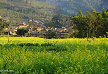 坝美世外桃源景区第 5 张图片