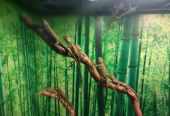 北海海底世界第 45 张图片