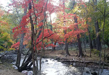 露水河长白山国际狩猎场第 2 张图片