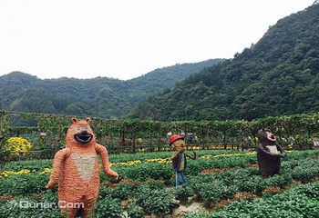 千菊百卉园（菊花文化节）第 5 张图片