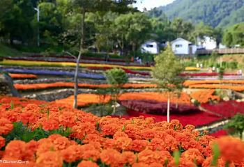 大余丫山旅游度假区第 2 张图片