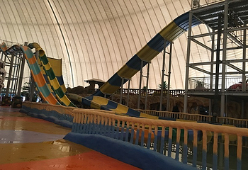 燕窝水世界第 25 张图片