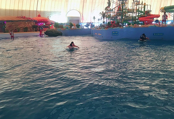 燕窝水世界第 7 张图片