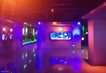 北海海底世界第 47 张图片