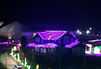 梁子湖蓝波湾庄园第 20 张图片